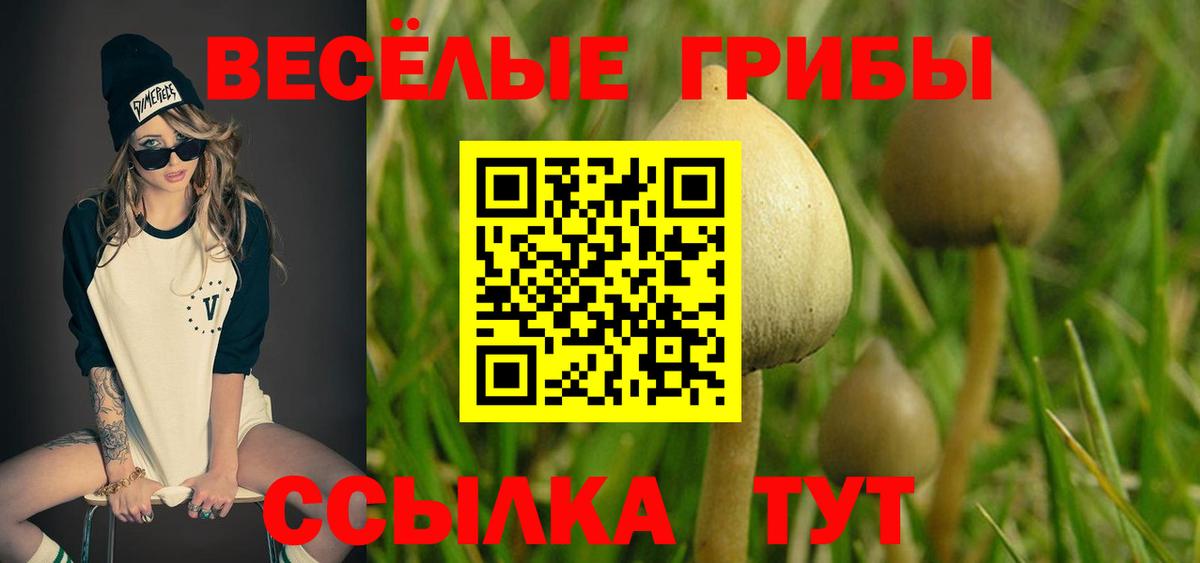 Псилоцибиновые грибы прущие грибы  Вход с VPN  Галлюциногенные грибы мицелий  Черногорск 